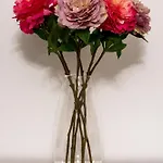 Nyaraló Rosa Azzurra *