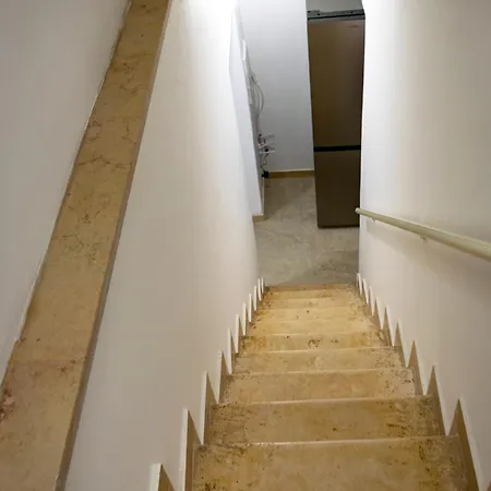 Rosa Azzurra Casamassima