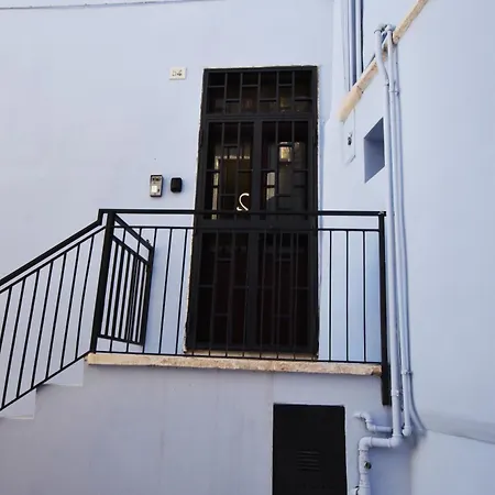 Rosa Azzurra カザマッシマ